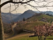 Al Pizzo Grande e al Monte Molinasco da Alino di S. Pellegrino il 16 marzo 2022-FOTOGALLERY